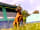 Sonnenresort Maltschacher See: Dog-friendly site