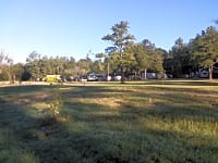 Park up among the trees Park up among the trees