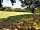 Clayford Field: Sunny or shaded pitches (photo added by manager on 06/08/2018)