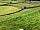 Church Farm Camping