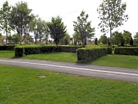 Pitches separated by hedges Pitches separated by hedges