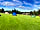 Gill Head Farm: Pitches