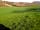 Church Farm Camping