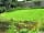 Cilsane Lodges: Wildlife pond (photo added by manager)