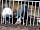 Little Haven Farm (фото добавлено менеджером 19.04.2021)