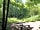 Blackberry Wood Campsite: A camping pitch