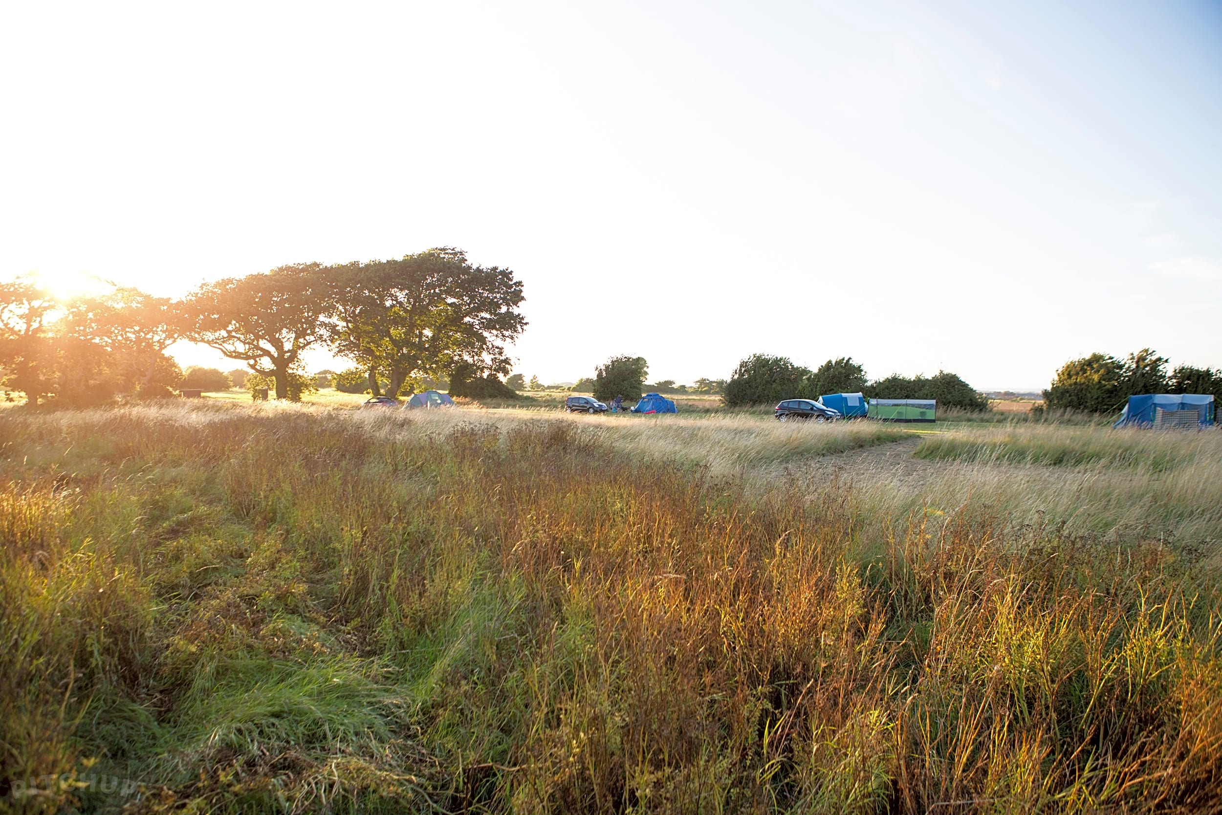 Donnington Wild Camping, Chichester Updated 2020 prices Pitchup®