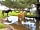 Wellowwood Camping: Horses and cattle in the New Forest (photo added by manager on 10/03/2023)