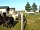 Midshires Way Campsite and Alpaca Farm