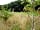 Butcombe New Woods: One and only camping pitch