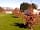 Tall Trees Leisure Park: View from pond
