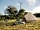 Brithdir Mawr Wild and Eco Camping: Lots of space to pitch up
