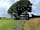 Under the Oak Glamping: Private cabin (photo added by  on 15/07/2023)