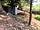 Manor Farm: Your woodland toilet shack