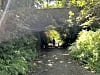 Moss Side Farm Campsite: Old bridge (photo added on 07/15/2025)