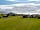 Sandparks Campsite: Sea views
