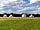 Bales Ash Campsite: Bell tent with private well-equipped kitchen shelter