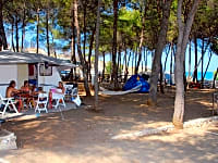 Emplacement sur sol forestier avec électricité optionnelle (adapté aux familles)