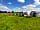 Swithens Farm