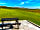 Barnharrow Holiday Pods: Visitor image of the view from the pod