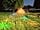 Bromson Hill Farm: Bell tent lit up at night (photo added by manager on 26/05/2023)