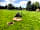 Cricket Field Campsite: Bring your bike
