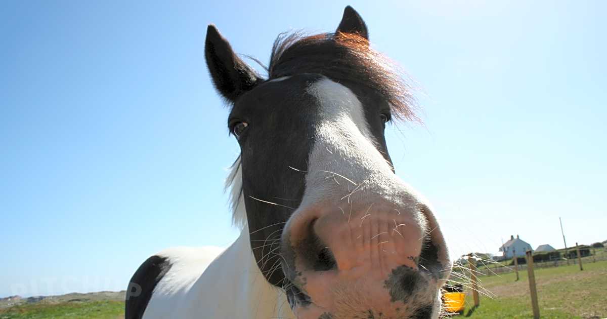 Ty Hen Holiday Park, Rhosneigr
