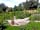 Campbiggle: The garden