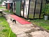 Moss Side Farm Campsite: This was our rail pod, very dog friendly site. (photo added on 07/07/2024)