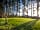 Lilliardsedge Holiday Park: Pitches among the trees (photo added by manager on 19/02/2019)