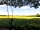 Wookey Farm: Rope swings in the pitching meadow