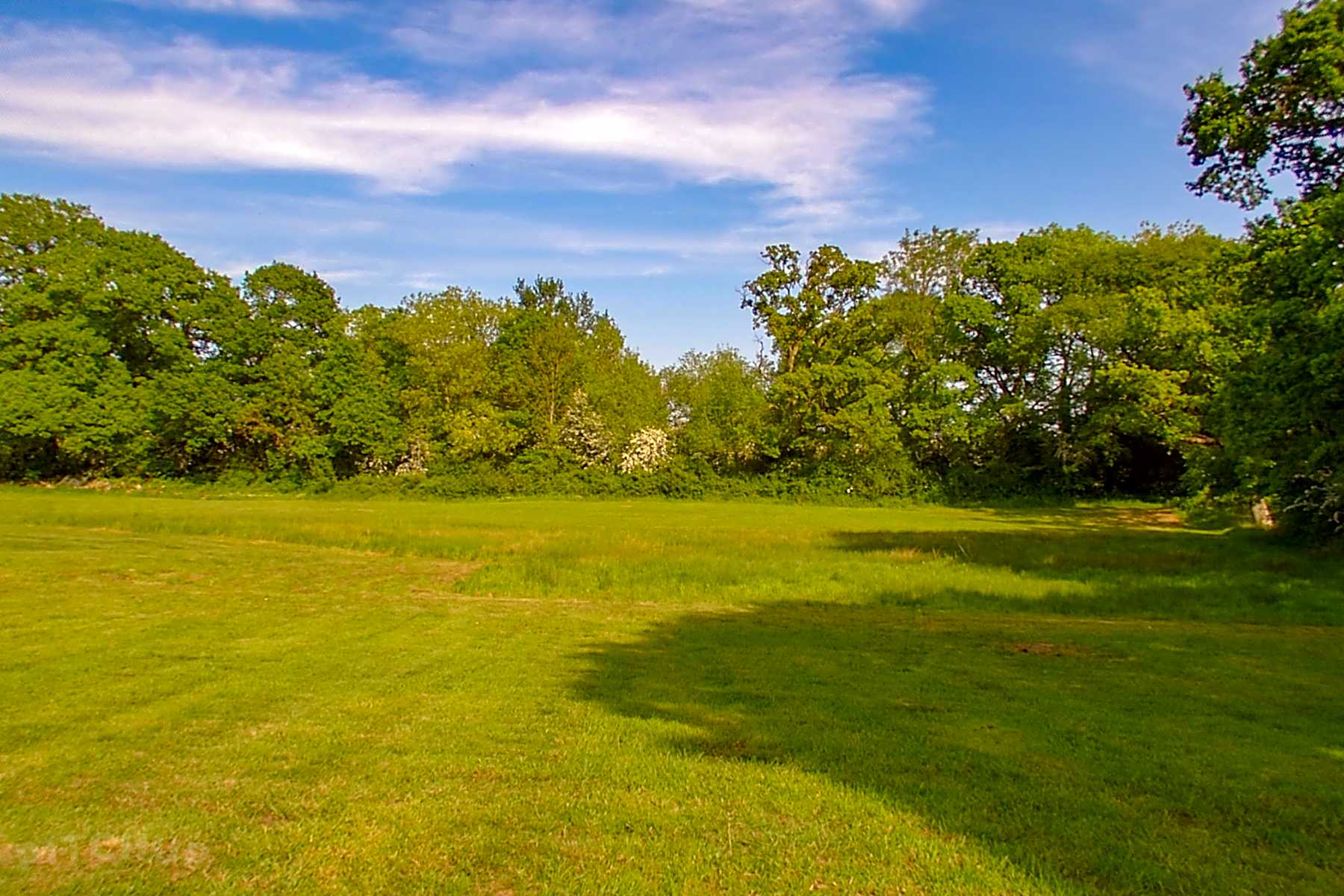 Tree farm. New Forest Meadow. Field Camping. Add New Forest