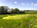 Clopton campsites