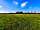 Pitch on the Wall Campsite: Grassy space for tents