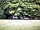 Ashcombe Woodland Campsite: Animal visitors