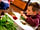 Wild Duck Holiday Park: Making a collage as part of the Nature Rocks activities on site