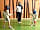 Craig Tara Holidays: Fencing and many other activities available on site
