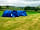 Treacle Valley Campsite: Medium tent pitches (photo added by manager on 15/11/2018)