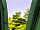 Nether Hall Farm: Blue skies and Christmas trees (photo added by manager on 30/06/2021)