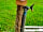 Evesham Caravan Site: Hand sanitiser and water tap (photo added by manager on 06/07/2020)