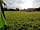 The Crown Inn: Early morning view from my tent