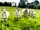 Offa's Dyke Farm Campsite