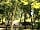 Domaine de la Bergerie: Among the trees