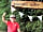 Kingfisher Meadow Camping and Caravanning Park