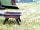 Burhope Farm Campsite: Fire bowls