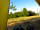 Chittlesford Mill Farm Camping: Pitch