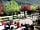 Camping Saint-Martin