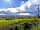 Toghill House Farm: Rural views