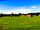 Tarvin Sands: Pitch areas