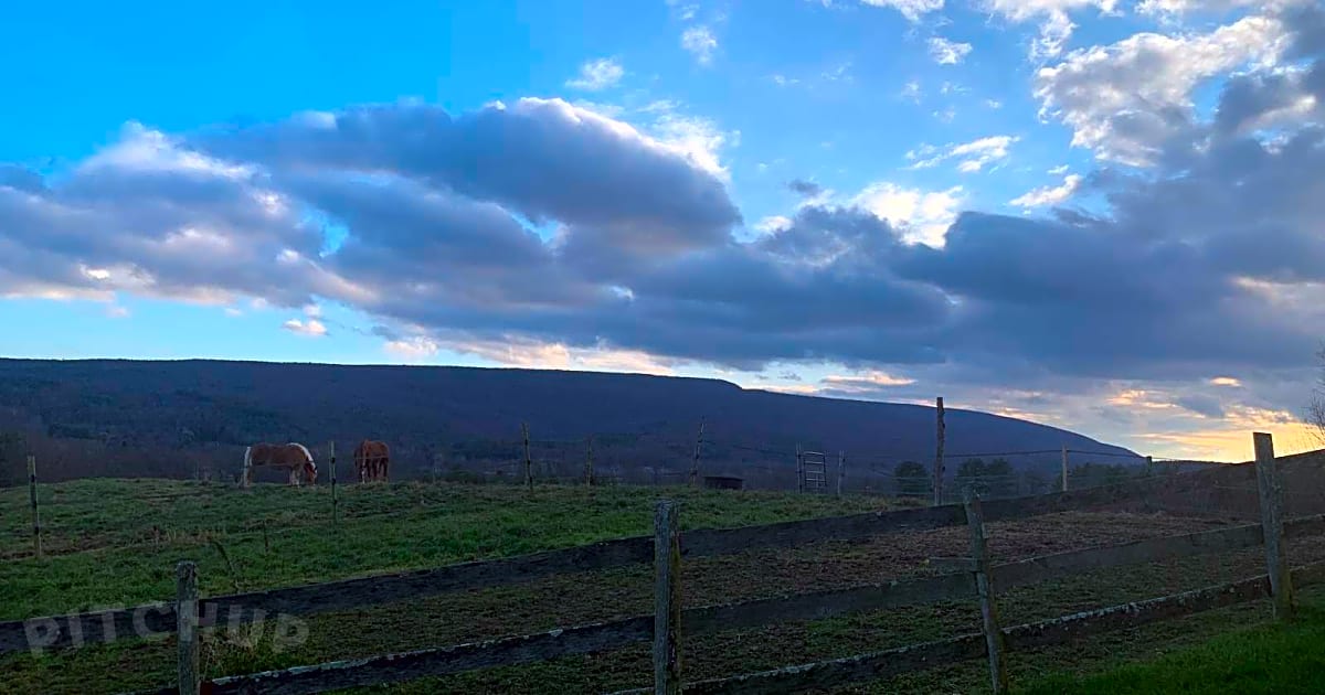 Rustic Ridge View Farm, Kerhonkson Updated 2021 prices Pitchup®